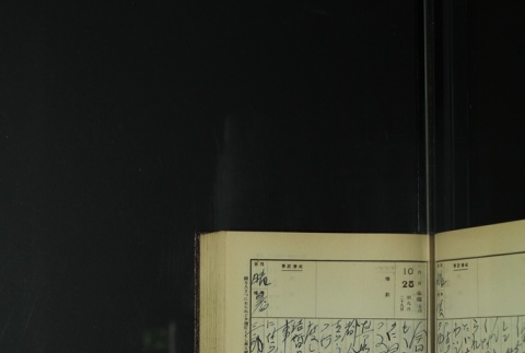 Page 325 (ddr-densho-255-9-master-01458c78eb)