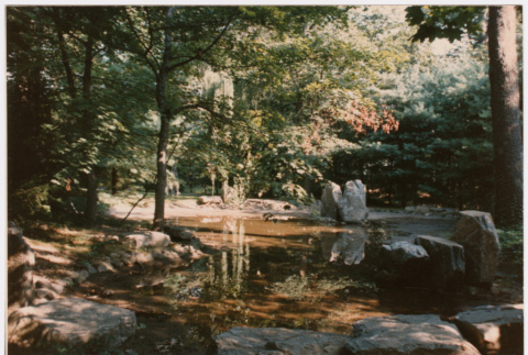 Rock feature in pond (ddr-densho-377-1958)