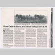 From Cattle to Beans, the Salinas Valley's Seen It All (ddr-densho-501-380)