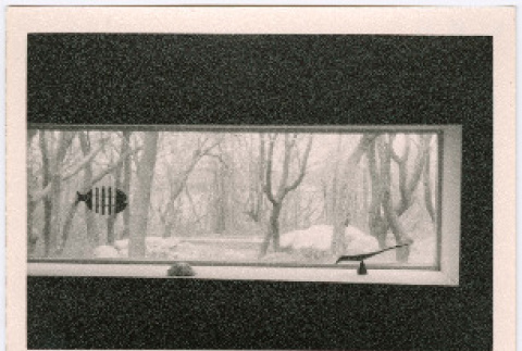 Front and back (ddr-densho-377-2870-mezzanine-80d081ae1e)