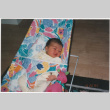 Baby in bouncer (ddr-densho-426-1300)