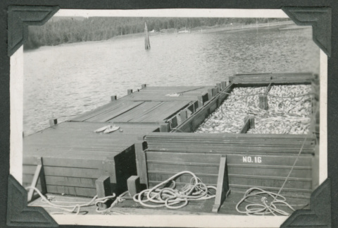 Large containers of fish docked at pier (ddr-densho-540-69)