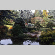 Japanese Garden (ddr-densho-354-900)