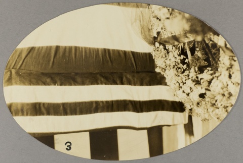 Photograph of flowers (ddr-njpa-13-1172)