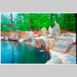 Pool with rock feature (ddr-densho-377-2605)