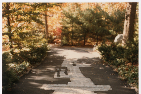 Rock path in road (ddr-densho-377-1956)