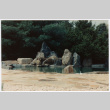 Pool with rock feature (ddr-densho-377-2434)