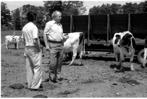 William Kochiyama and Robert H. Foote with cows (ddr-densho-1007-1360)
