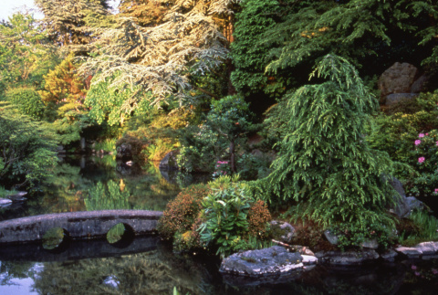 Bridge in the Japanese Garden (ddr-densho-354-638)