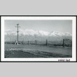 Photograph of the road outside of Manzanar (ddr-csujad-47-153)