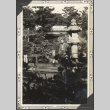 Man in tea garden (ddr-densho-326-541)