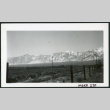 Photograph looking across the desert toward the snow-covered Sierra Nevada (ddr-csujad-47-154)