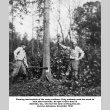 Two men chopping down a tree (ddr-ajah-6-221)
