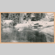 Man swimming in river (ddr-densho-468-285)