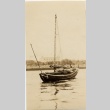 The Chinese junk Hummel Hummel (ddr-njpa-1-1272)