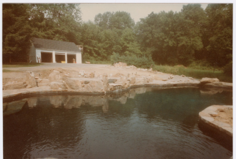 Pool in backyard (ddr-densho-377-1711)