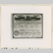 Hayashi Sugino marriage license (ddr-densho-37-1514)