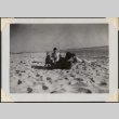 Three men and small dog on beach (ddr-densho-466-864)