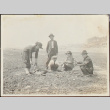 A family gathering shellfish on a beach (ddr-densho-278-94)