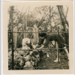 Tomoye Nozawa laying flowers on grave (ddr-densho-423-477)