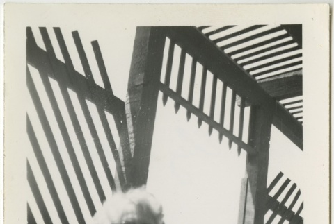 Woman sitting inside a fence (ddr-manz-7-103)