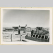 Men stand near pigs at trough (ddr-densho-37-1620)