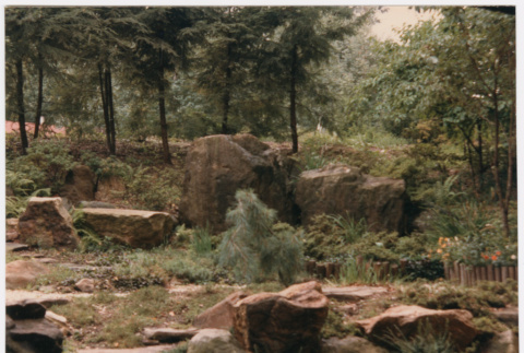 Landscaping (ddr-densho-377-1957)