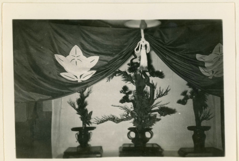 Sho chiku bai arrangement exhibit (ddr-densho-37-1323)