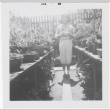 Girl standing in garden (ddr-densho-426-51)