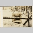 Photograph of a barbed wire fence (ddr-njpa-13-1010)