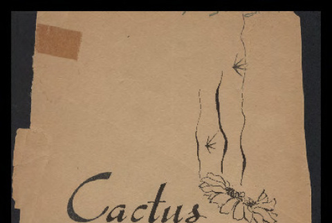 Cactus blossoms (ddr-csujad-55-48)