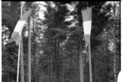 Flags and stairs (ddr-densho-1007-1294)