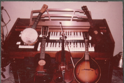 Organ, banjo, guitar, mandolin, viola, ukulele (ddr-densho-523-618)