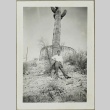 Man and cactus (ddr-densho-258-75)