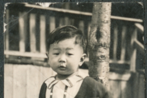Child in shorts by tree (ddr-densho-523-75)