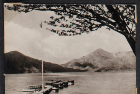 Tree with dock and lake (ddr-densho-468-419)