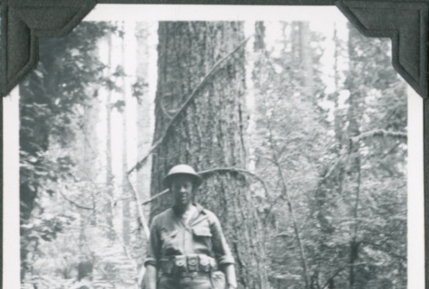Man in uniform standing by tree (ddr-ajah-2-229)