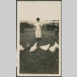 Woman feeding chickens (ddr-densho-293-98)