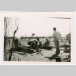 Five men building with bricks with barracks in background (ddr-densho-329-1374)