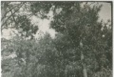 Front and back (ddr-densho-338-303-mezzanine-48d76690f5)