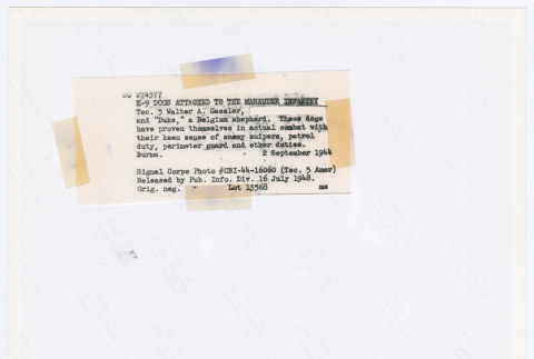 Back (ddr-densho-1007-271-mezzanine-783afa03e8)