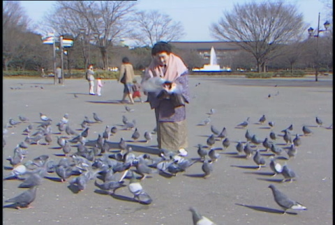 Ueno Park b-roll, part 2 of (ddr-densho-1007-1728)