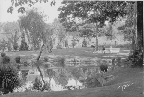 Visitors in the Garden in front of a pond along Mapes Creek, Fujitaro Kubota near tree (ddr-densho-354-45)