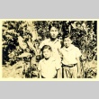 Herbert K. Yanamura with his brothers (ddr-densho-22-152)