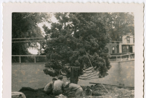 Tree planting (ddr-densho-377-2153)