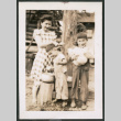 Photo of a woman with two children and a chicken (ddr-densho-483-334)