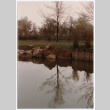 Tree reflected in pond (ddr-densho-377-2125)