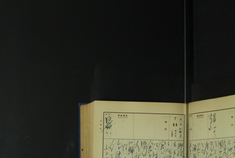 Page 217 (ddr-densho-255-5-master-8ae67e9a2d)