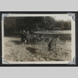 Deer in field (ddr-densho-550-314)