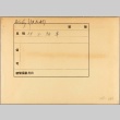 Envelope of Italian army photographs (ddr-njpa-13-672)